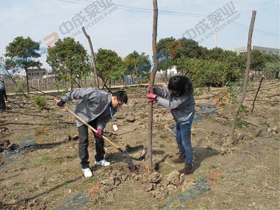 2012.3.12中成泵業(yè)植樹節(jié)活動(dòng)報(bào)道